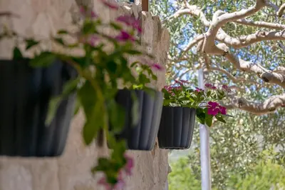 Vrt u objektu Peacefull getaway island Hvar!