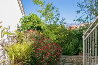 Vrt u objektu Apartments with parking space Supetar, Brac - 22123