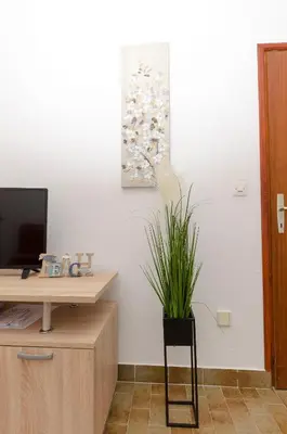 TV i/ili zabavni centar u objektu Apartments Silvana