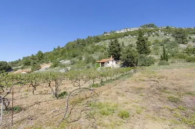 Priroda u blizini vikendica