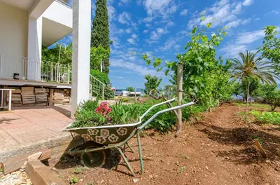 Vrt u objektu Apartments Jerko