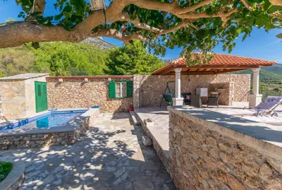 Bazen u objektu House Petric ili u blizini