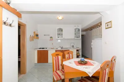 Kuhinja ili čajna kuhinja u objektu House Petric