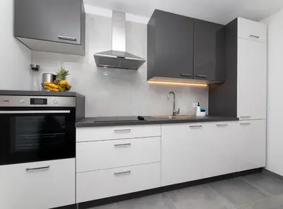 Kuhinja ili čajna kuhinja u objektu Apartment Kurte