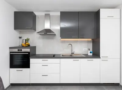 Kuhinja ili čajna kuhinja u objektu Apartment Kurte