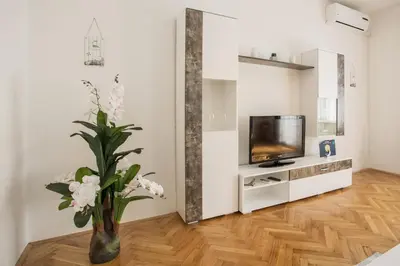 TV i/ili zabavni centar u objektu Apartment Blaž