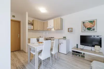 Kuhinja ili čajna kuhinja u objektu Apartments Silva
