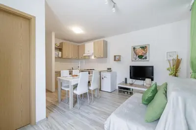 Kuhinja ili čajna kuhinja u objektu Apartments Silva