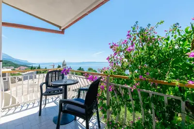 Priroda u blizini apartmana