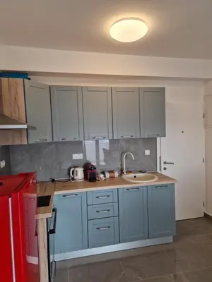 Kuhinja ili čajna kuhinja u objektu Apartman C Nemira