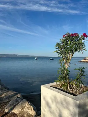 Priroda u blizini apartmana