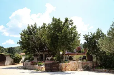 Vrt u objektu Apartments with parking space Dol, Hvar - 24122