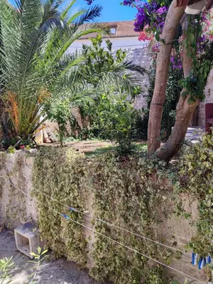 Vrt u objektu Authentic stone house by the sea