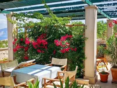 Vrt u objektu Apartments Gracin - One Bedroom Apartment with Terrace A1