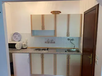 Kuhinja ili čajna kuhinja u objektu Pansion Ivana studios