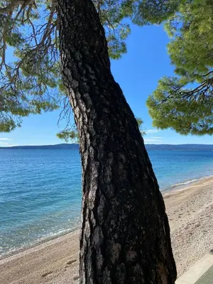 Priroda u blizini apartmana