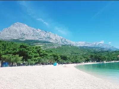 Priroda u blizini apartmana