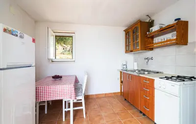 Kuhinja ili čajna kuhinja u objektu Pet Friendly Home In Postira