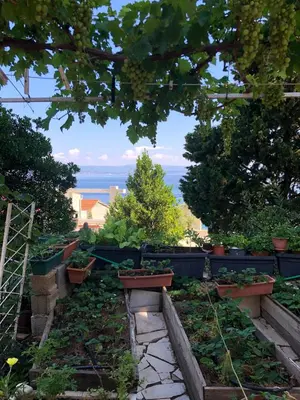 Priroda u blizini apartmana