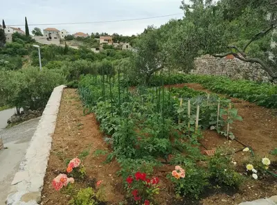 Vrt u objektu Cosy 4bedrooms Holiday House Ruška - Dol