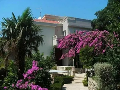 Vrt u objektu Krvavica apartments