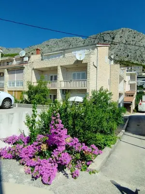 Pogled na planine ili pogled na planine iz apartmana