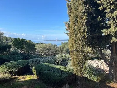 Priroda u blizini vila