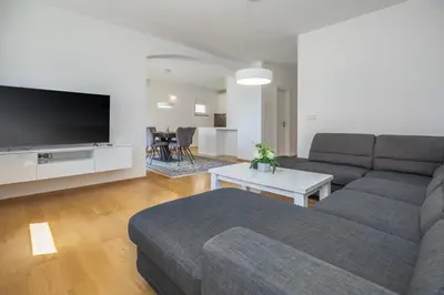 TV i/ili zabavni centar u objektu Casa Moderna - New Spacious Apartments