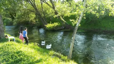 Priroda u blizini apartmana