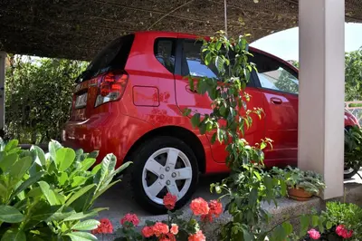 Vrt u objektu A apartment with terrace 1 min walk to the beach