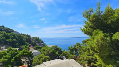 Priroda u blizini apartmana