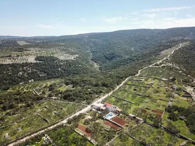 Priroda u blizini vila