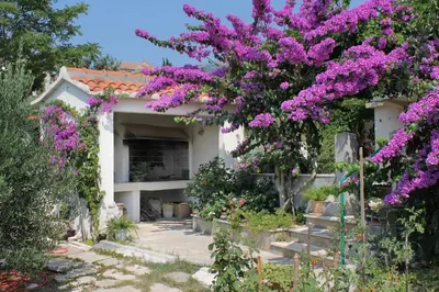Vrt u objektu Apartments with a parking space Bol, Brac - 5605