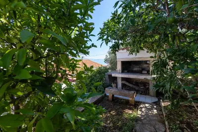Vrt u objektu Seaside holiday house Cove Zarace - Gdinj, Hvar - 2048