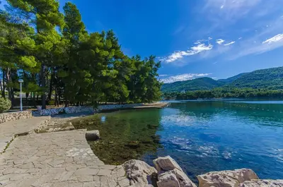 Priroda u blizini vikendica