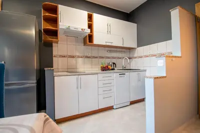 Kuhinja ili čajna kuhinja u objektu Apartments Hudovernik