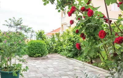 Vrt u objektu Awesome Apartment In Makarska With House Sea View