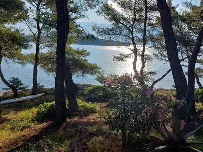 Priroda u blizini vila