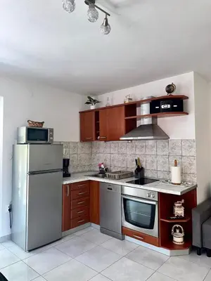 Kuhinja ili čajna kuhinja u objektu Apartmani Bah Basina