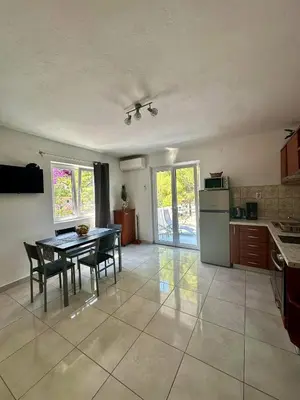 Kuhinja ili čajna kuhinja u objektu Apartmani Bah Basina