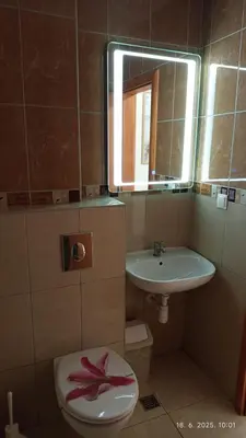 Kupaonica u objektu Apartments Marija PROMAJNA