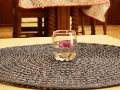 Pića u objektu Apartments Nikolina - Vitarnja