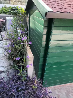 Vrt u objektu Studio apartman Lenka