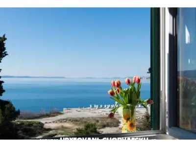 Priroda u blizini apartmana