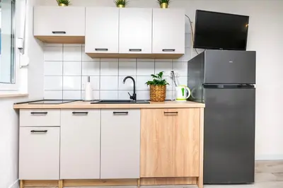 Kuhinja ili čajna kuhinja u objektu Apartment Golubinka