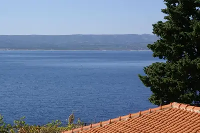 Priroda u blizini apartmana