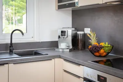 Kuhinja ili čajna kuhinja u objektu La Suite Apartment