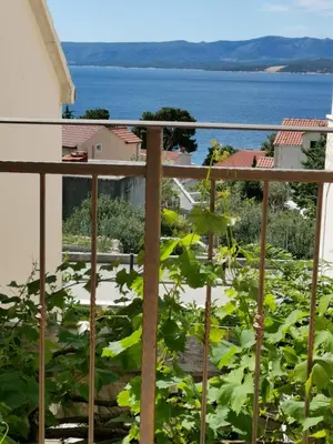 Priroda u blizini apartmana