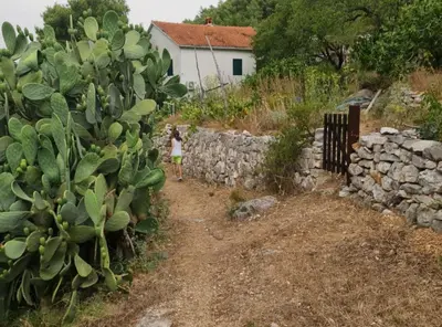 Vrt u objektu Apartments Stiniva Hvar