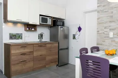 Kuhinja ili čajna kuhinja u objektu Apartments Jase